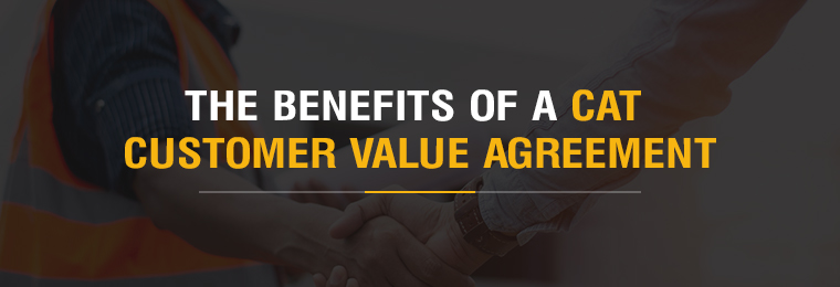 The Benefits of a Cat Customer Value Agreement