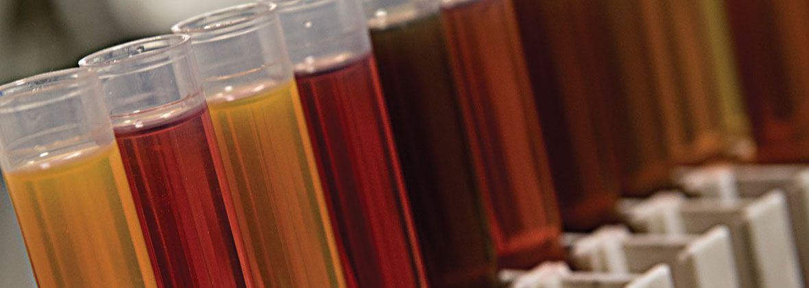 CM20170912-39296-60966